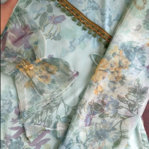 Paste Shinny Kurti