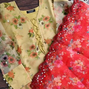 Golden Organza Kurti