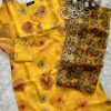 Bashonti  Organza Kurti