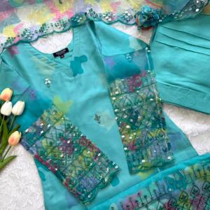 Sky organza kurti