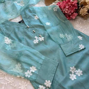 Frost blue kurti