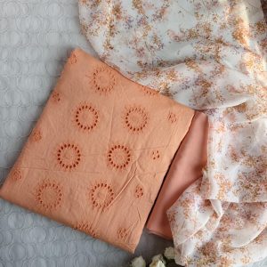 peach chickenkari -690